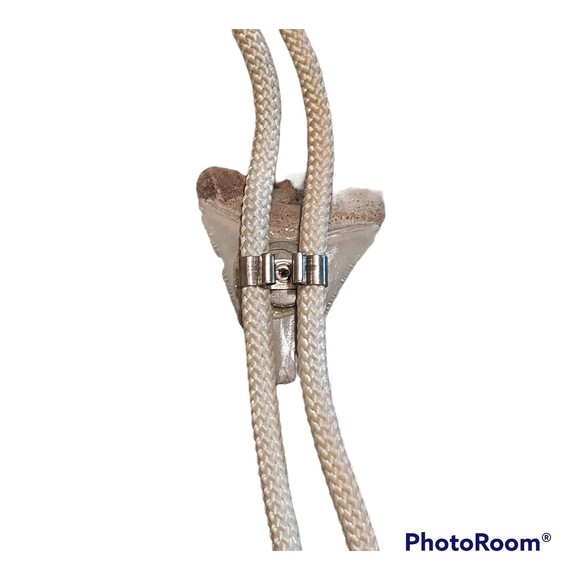 Megalodon Shark Tooth Fossil Bolo Tie - Picture 3 of 5